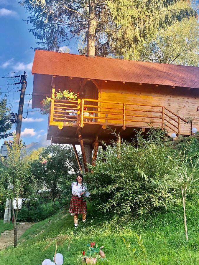Domeniul Horj Casa Din Deal Moisei Ngoại thất bức ảnh