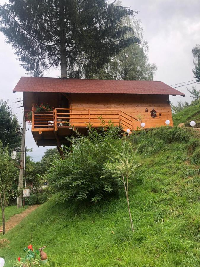 Domeniul Horj Casa Din Deal Moisei Ngoại thất bức ảnh