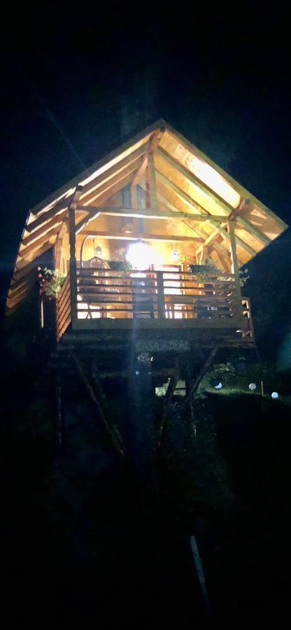 Domeniul Horj Casa Din Deal Moisei Ngoại thất bức ảnh