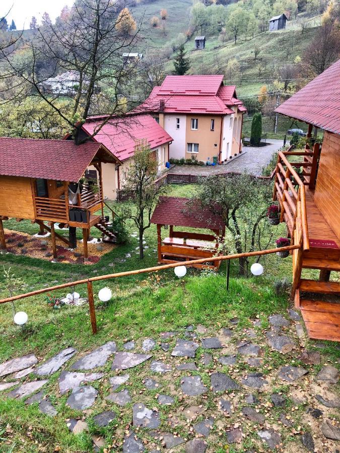 Domeniul Horj Casa Din Deal Moisei Ngoại thất bức ảnh