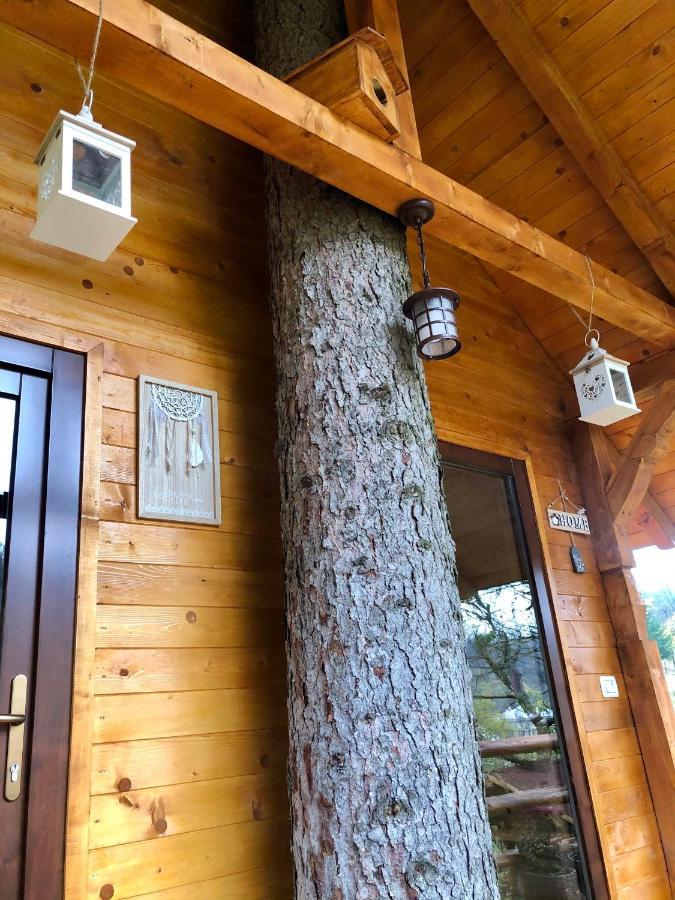 Domeniul Horj Casa Din Deal Moisei Ngoại thất bức ảnh